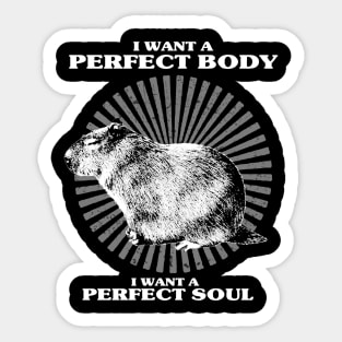 Capybara i want a perfect body i want a perfect soul Shirt, Funny Capybara Meme Sticker